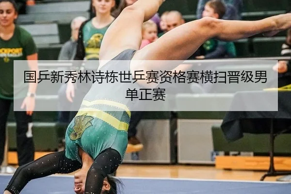 guo-ping-xin-xiu-lin-shi-dong-shi-ping-sai-zi-ge-sai-heng-sao-jin-ji-nan-dan-zheng-sai-2-341.jpg
