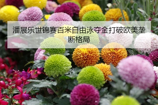潘展乐世锦赛百米自由泳夺金打破欧美垄断格局
