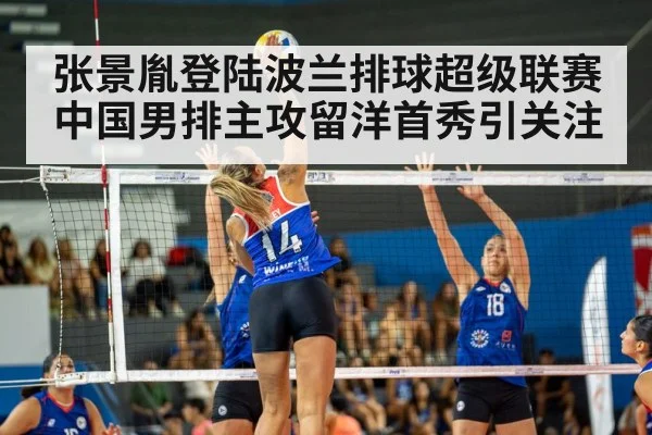 张景胤登陆波兰排球超级联赛 中国男排主攻留洋首秀引关注